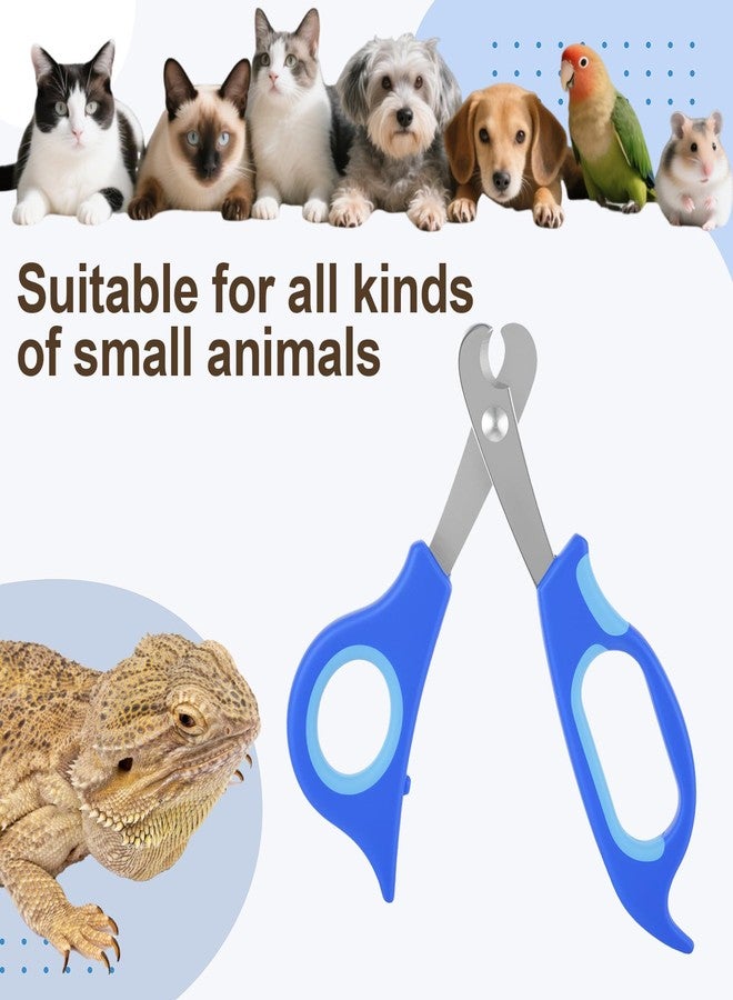 Qiuruoo Bearded Dragon Nail Clippers,Stainless Steel Bearded Dragon Accessories,Professional Grooming pet Tools Including Nail File and Scissors for Small Reptiles,Chameleon,Cats,Dogs,Iguana - Image 5